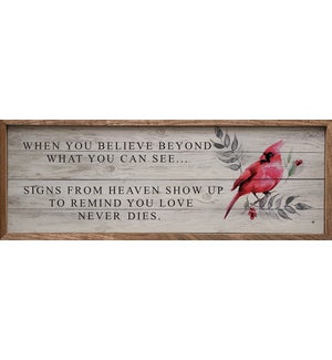 Love Never Dies Cardinal Whitewash